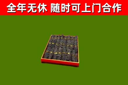 关岭县回收海参